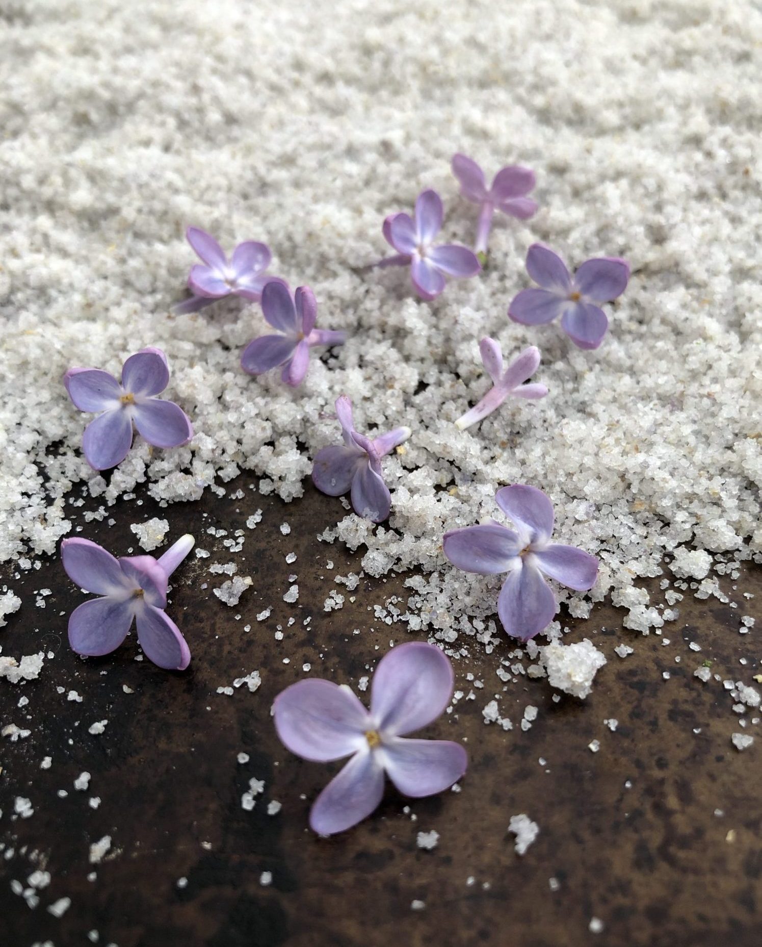 Lilac Sugar